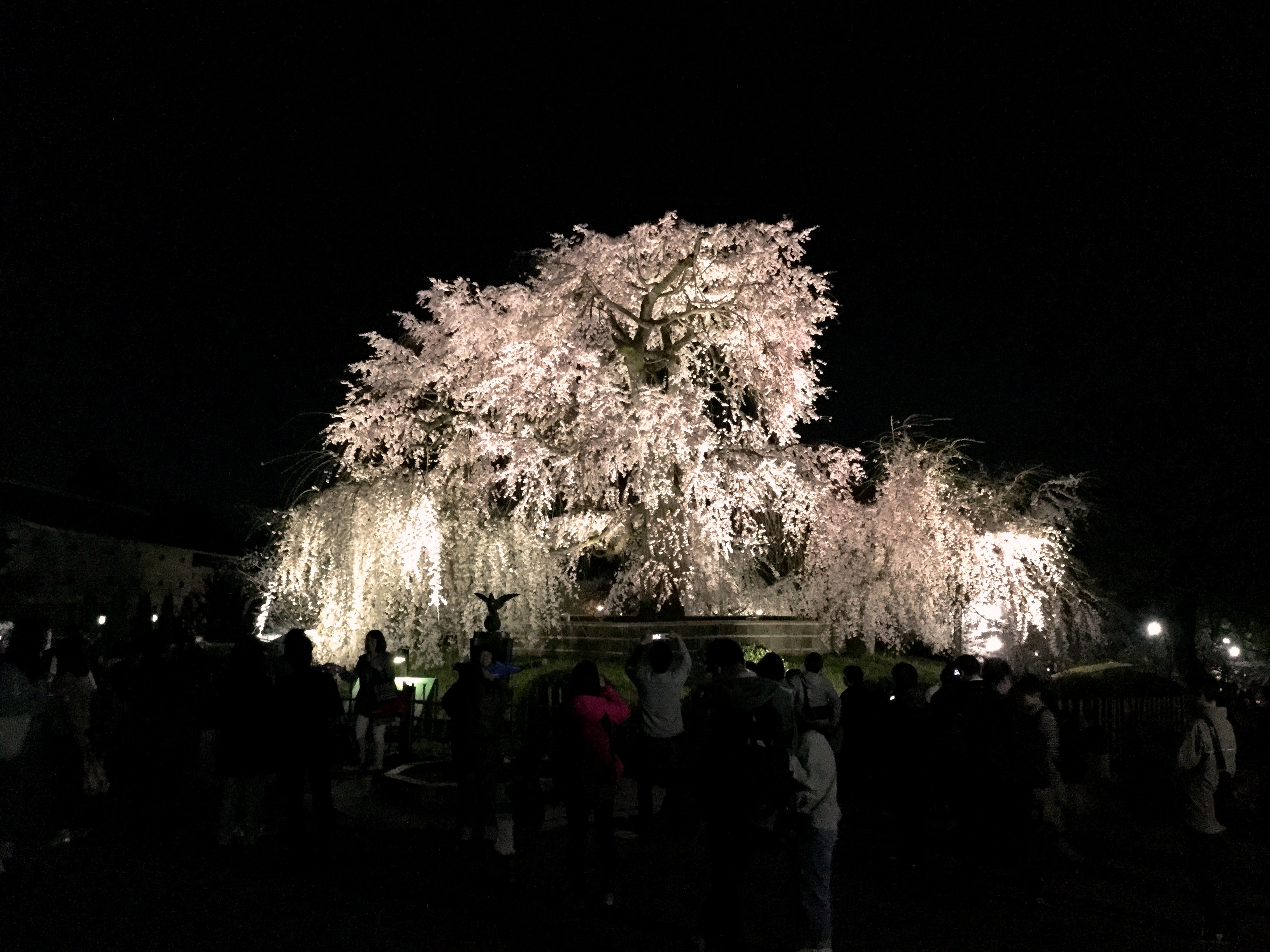 IMG-5602